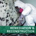 Mold Removal and Remediation - Los Angeles