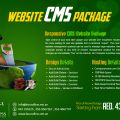CMS Websites Dubai