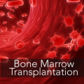 Cost-Effective Bone Marrow Transplant in India
