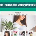 These Free WordPress themes are more feature rich and completely documented