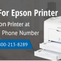 5 Things to Know About Epson Printer Support Number