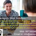 Your website is the mirror of your image Get Success and achieve goals at Seospidy