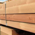 Wholesale, Retailer and dealer of Century ply Plywood in Delhi