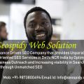 Seospidy offers great websites and improve their ranking as well