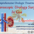Comprehensive Urologic Treatment-Laparoscopic Urology Surgery In Goa