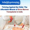 Thriving Against the Odds: The Affordable Miracle of Bone Marrow Transplants in India.