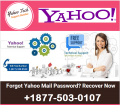 How can I recover my Yahoo account password without phone number ?