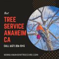 Tree Trimming Orange County
