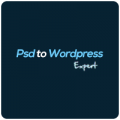 Hire WordPress Developer at Low Cost