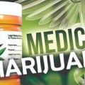 Medical Marijuana seminars & Events