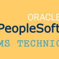 Peoplesoft HRMS Technical Online Training