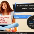 Develop Your Understanding about Salesforce Online Training