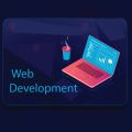 Web Application Development Company in USA