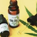 Are you not sure why it can be beneficial to use CBD products?