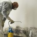 Reasons why hiring a mold removal company can work wonders for you