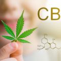 Enhance your knowledge about the popular CBD intakes!