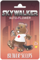 Skywalker Autoflower Marijuana Seeds