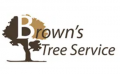 Fort Worth Tree Service Experts