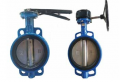 Wafer Butterfly Valve Manufacturer In Canada