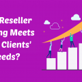 Scalability and Flexibility: How Reseller Hosting Meets Your Clients