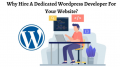 Why Hire A Dedicated Wordpress Developer For Your Website?