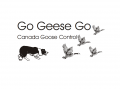 Go Geese Go