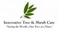 Oklahoma City Tree Service - Innovative Tree and Shrub Care