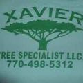 Xavier Tree Specialists and Services Atlanta
