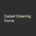 Carpet Cleaning Gurus
