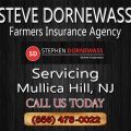 Steve Dornewass Farmers Insurance Agency