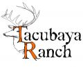 Tacubaya Ranch Photography