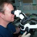Microscope Assisted Dentistry
