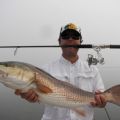 Everglades Fishing Charters