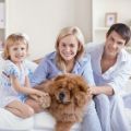 Bigstock-Together-With-Pets