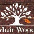 Muir Wood Teen Treatment