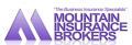 Mountain Insurance Brokers