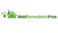 Mold Remediation Pros