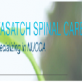 Wasatch Spinal Care