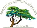 Tree Removal - Precision Cutting Services