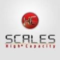 HC Scales - High Capacity Floor & Truck Scales