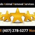 Orlando Animal Removal Services