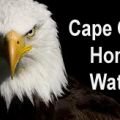 Cape Coral Home Watch
