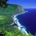 Green Hawaii Landscaping