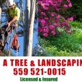 J & A Tree Landscaping Services