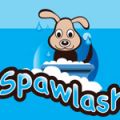 Spawlash Pet Grooming LLC