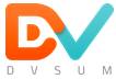 DvSum LLC