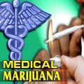 LivWell Medical Marijuana - Denver