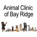 Animal Clinic of Bay Ridge