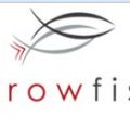 Arrowfish Consulting - Economic Damages and Business Valuation Experts