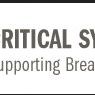 Critical Systems Inc
